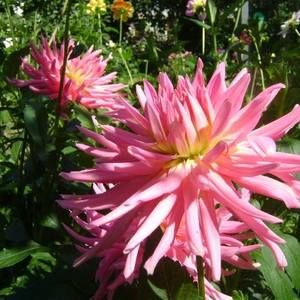 Meet your Posher, Karina